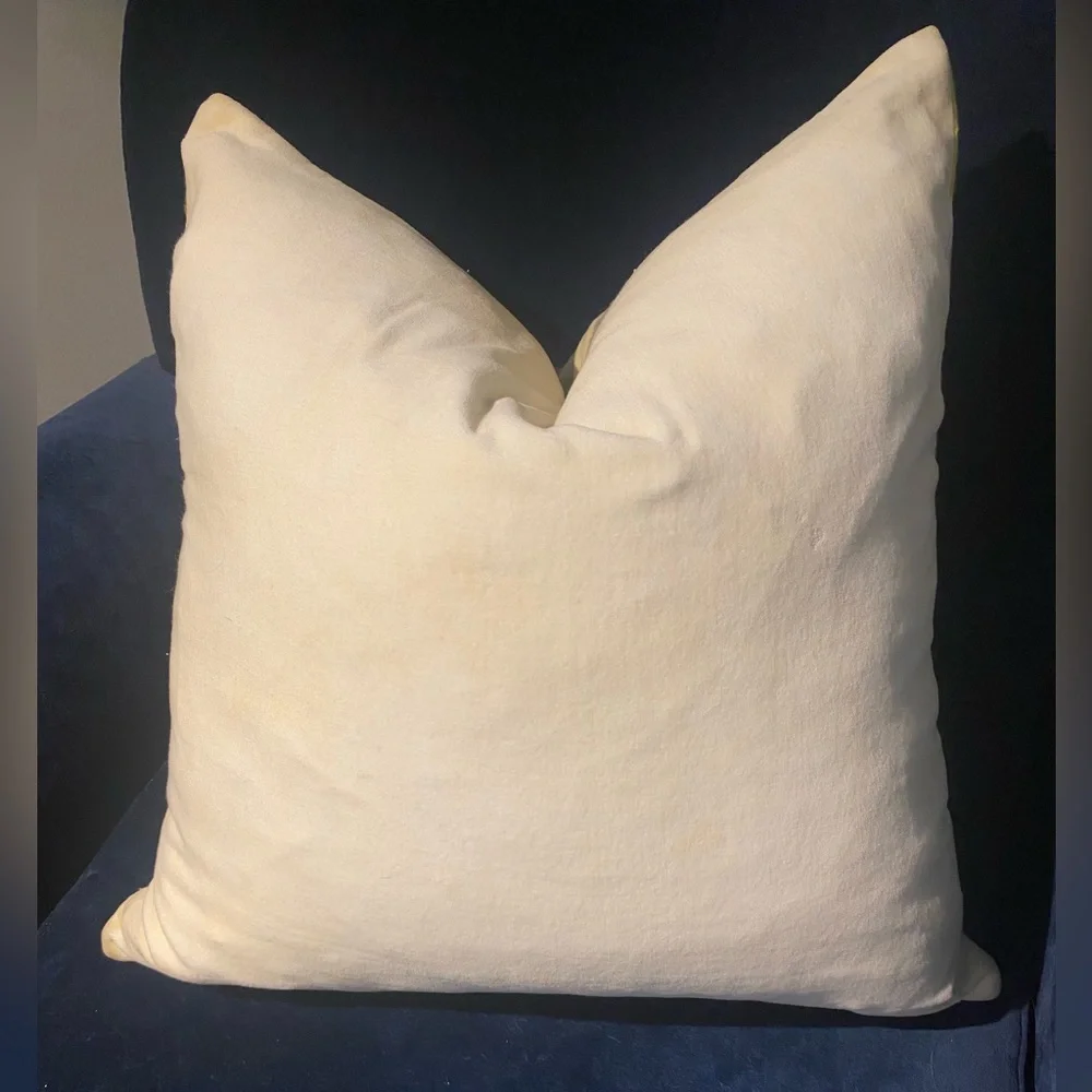 West Elm Ikat Pillow Cover